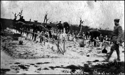 Temporary cemetery for 51st. Company, 5th Marines.