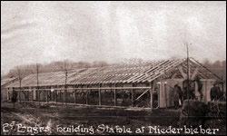 2nd Engineers building Stable at Niederbieber for 2nd Ammunition Train January 6, 1919.