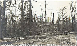 German Graves in Belleau Wood