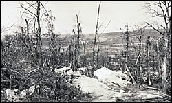 Belleau Woods, looking toward Belleau, Torcy, Hill 193 and the German lines.