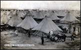 Camp Mills, 1917 - Birdseye View