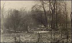 German photo of barb wire in the Chateau Thierry Sector.